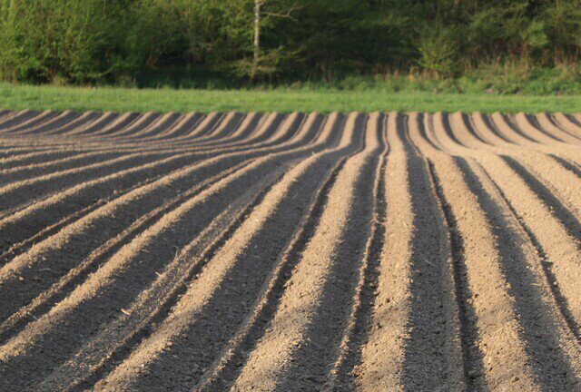 Deeply cultivate the field of agricultural machinery parts